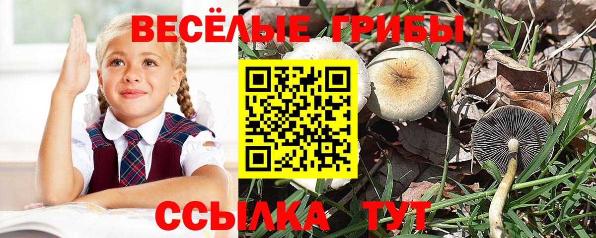 Снежинск  Галлюциногенные грибы мухоморы  Галлюциногенные грибы мицелий  Вход с VPN 